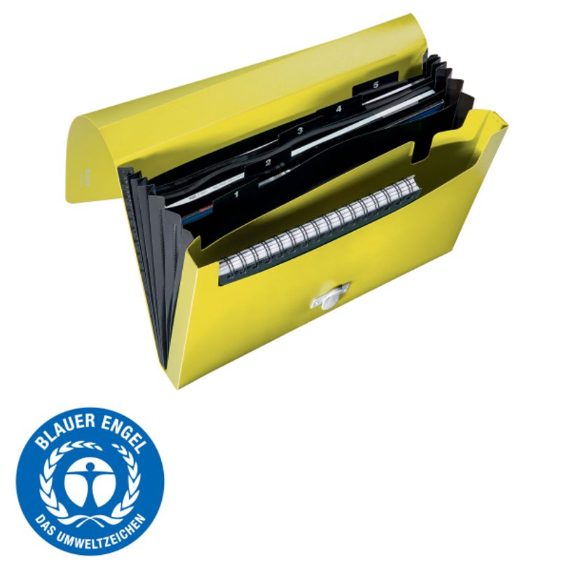 4002432130511-Leitz Recycle - Trieur à soufflet - 5 positions - A4 - pour 250 feuilles - à onglets - j-P_405181473_5-2