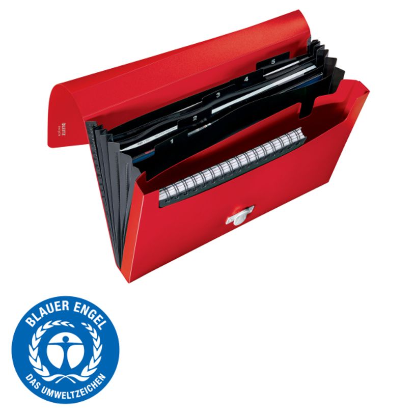 4002432130528-Leitz Recycle - Trieur à soufflet - 5 positions - A4 - pour 250 feuilles - à onglets - r-P_405181474_7-2
