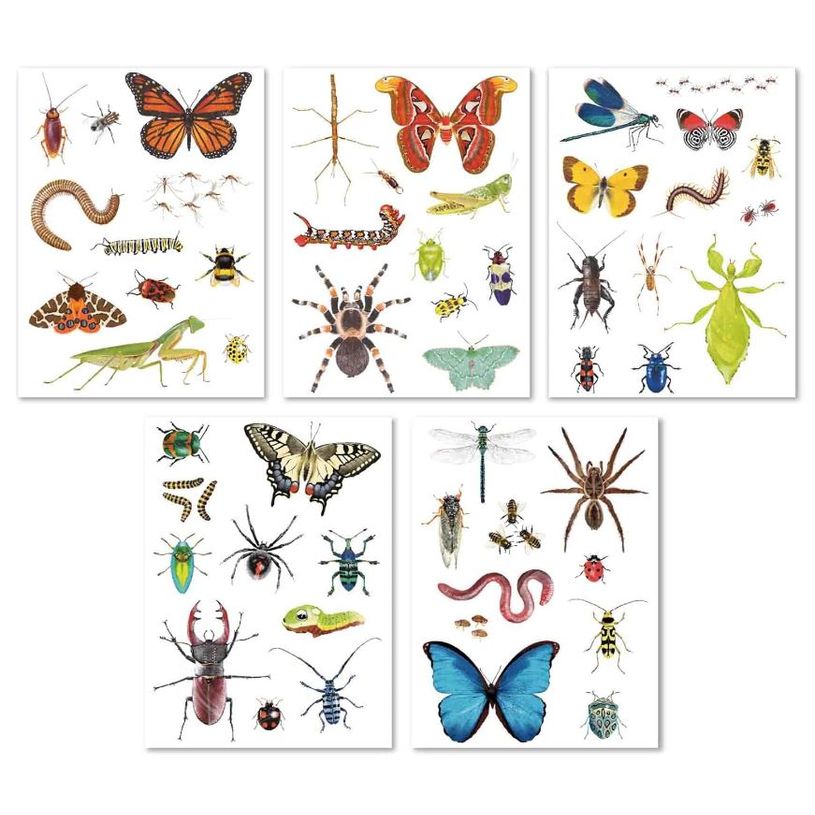 8410782194293-APLI kids - Adhésif décoratif - insectes - 5 feuilles - non permanent (pack de 50)-P_405184294_2-1