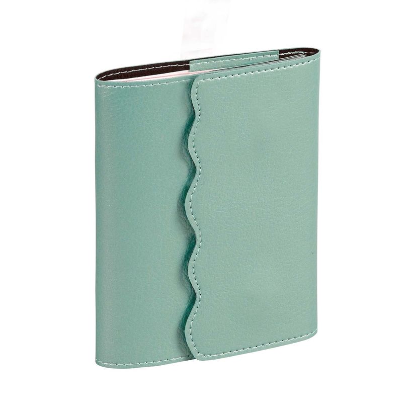 3371010515547-Quo Vadis Calypso - Agenda - 2025 - semainier - mini - 100 x 150 mm - portrait - papier blanc - couleur unique - couverture vert célad--0