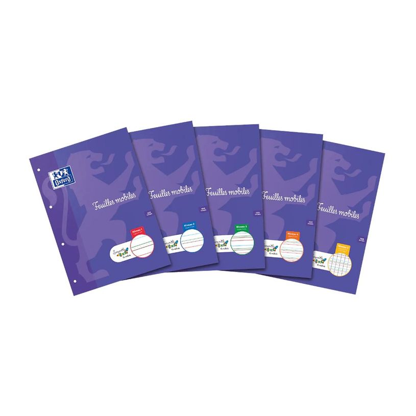 9791090155282-HOLDHAM - 50 feuilles mobiles Dys perforées - 100 pages - A4 - ligné 2 mm-P_405187469_2-4