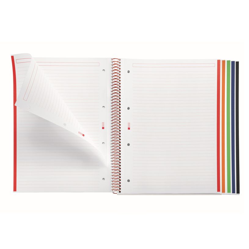 8422593485552-Notebook Emotions, couverture rigide, A4 lignes horizontales 7 mm, 120 feuilles de 5 couleurs, Miquelri--3