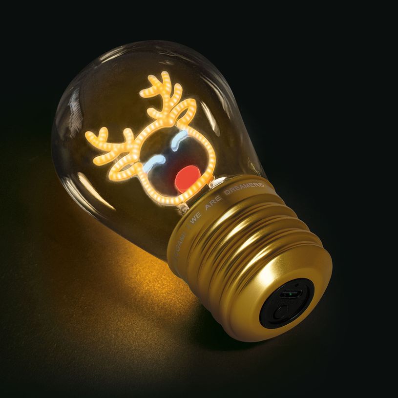 8052694020040-Lampe de table en forme d’ampoule reindeer-P_405222219_3-1