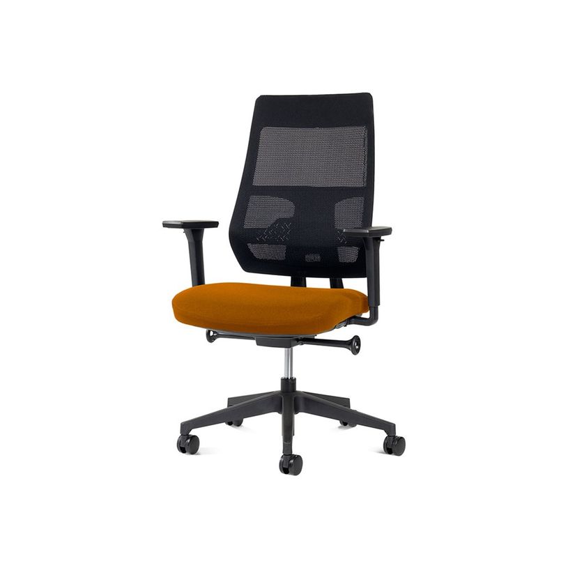 8427951072610-rocada Ergoline - Chaise - professional - accoudoirs - en T - inclinaison - pivotant - ora-P_405224917_1-0