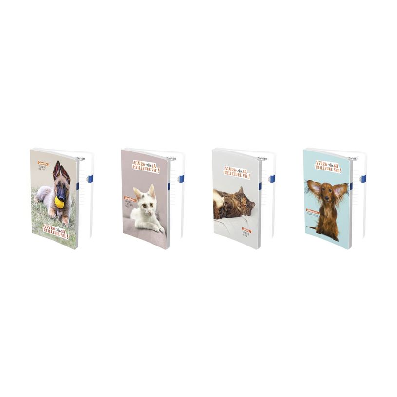 3147280273254-Agenda LA SPA 17 x 22 cm - 1 jour par page - différents modèles disponibles - Hamelin -P_405225919_7-5