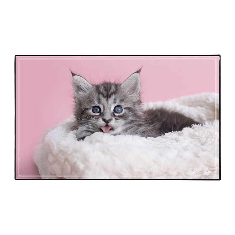 3135251384719-Sous-main Animaux 4 visuels - 59,5 x 36,2 cm - Assortis - Viquel-P_405226461_2-1