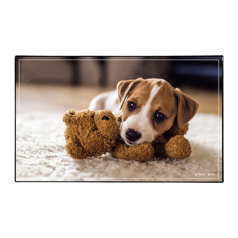 3135251384719-Sous-main Animaux 4 visuels - 59,5 x 36,2 cm - Assortis - Viquel-P_405226461_3-2