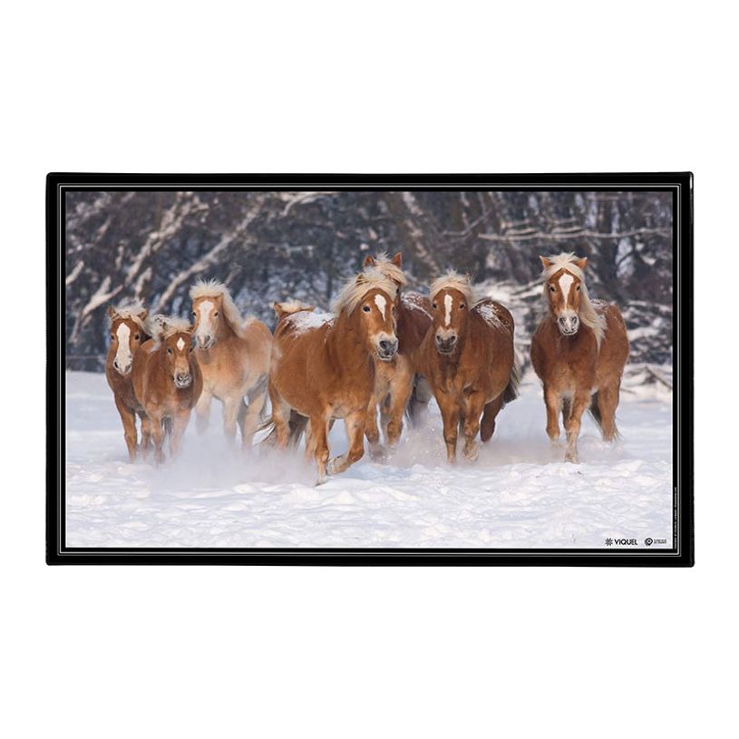 3135251384719-Sous-main Animaux 4 visuels - 59,5 x 36,2 cm - Assortis - Viquel-P_405226461_5-4