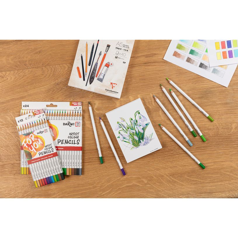 5411711463643-Darwi For You - Boite de 12 crayons de couleur Beaux-Arts-P_405230676_4-3