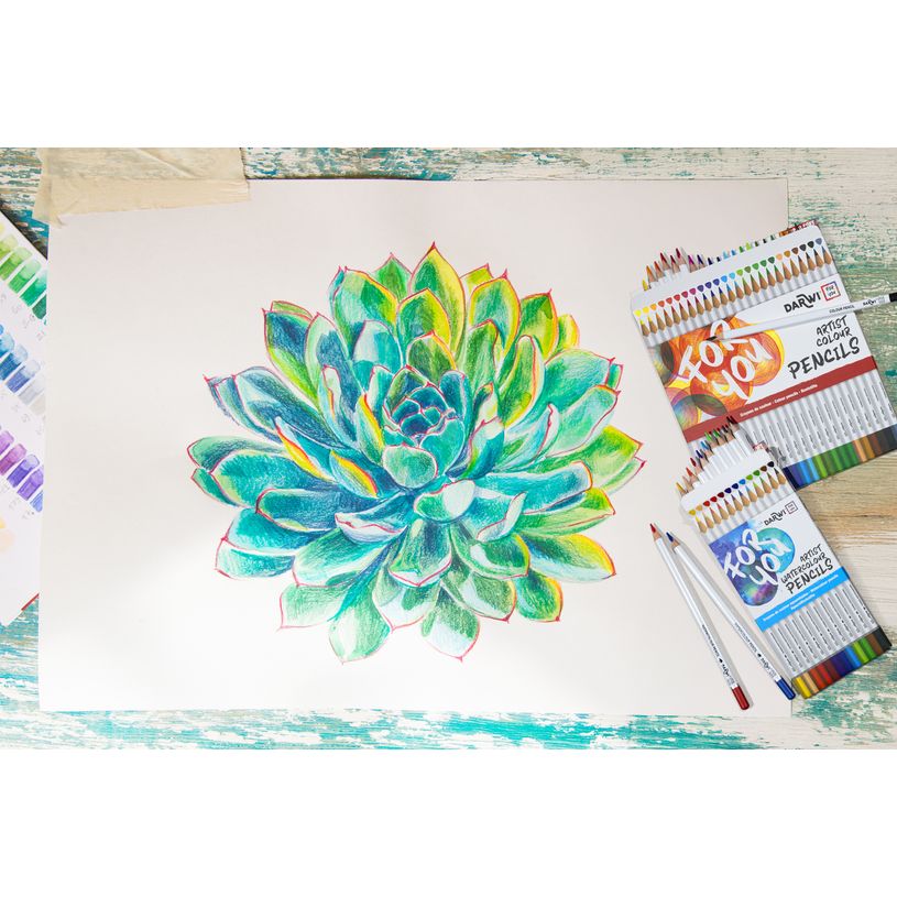 5411711463643-Darwi For You - Boite de 12 crayons de couleur Beaux-Arts-P_405230676_5-4