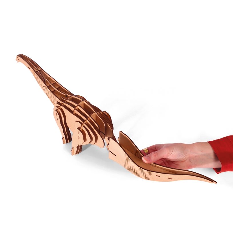 3532436509347-Maquette bois 3D Diplodocus - 38 pièces - disponible dans différents modèles--2