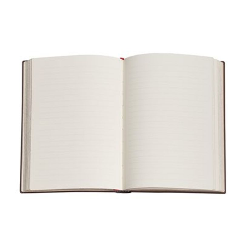 9781439798201-Paperblanks Flexis Daphnis & Chloe - Cahier de notes - 175 x 225 mm - 88 feuilles / 176 pages - lign