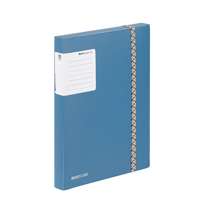 3135252084151-Viquel BUSINESS Class' - Boîte de Classement 30 mm - Pour Documents A4 (210 x 297 mm) et 240 x 320 mm - Dis-P_405240998_2-1