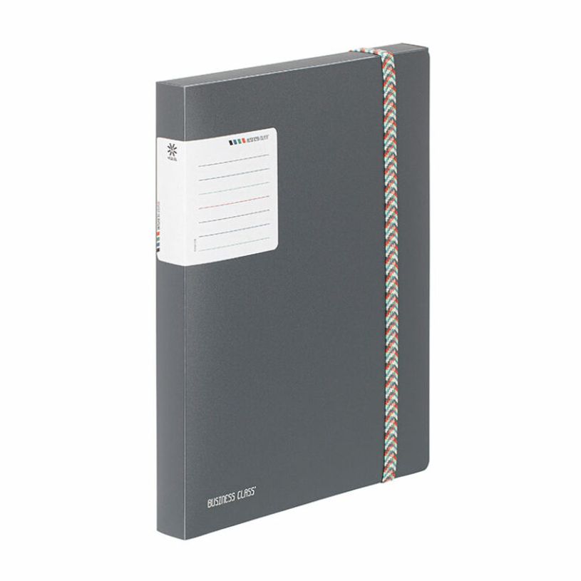 3135252084151-Viquel BUSINESS Class' - Boîte de Classement 30 mm - Pour Documents A4 (210 x 297 mm) et 240 x 320 mm - Dis-P_405240998_3-2