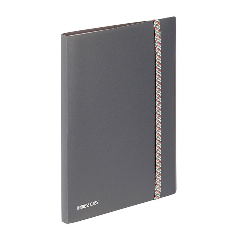 3135252684153-Viquel BUSINESS Class' - Porte vues - 30 compartiments - 60 vues - pour A4 (210 x 297 mm) - dis-P_405240999_2-1