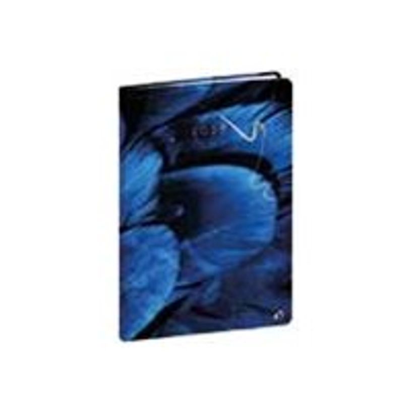 3371010524532-Agenda Quo Vadis Hipsy Minister - 16 x 24 cm - plume-P_405243954_2-0