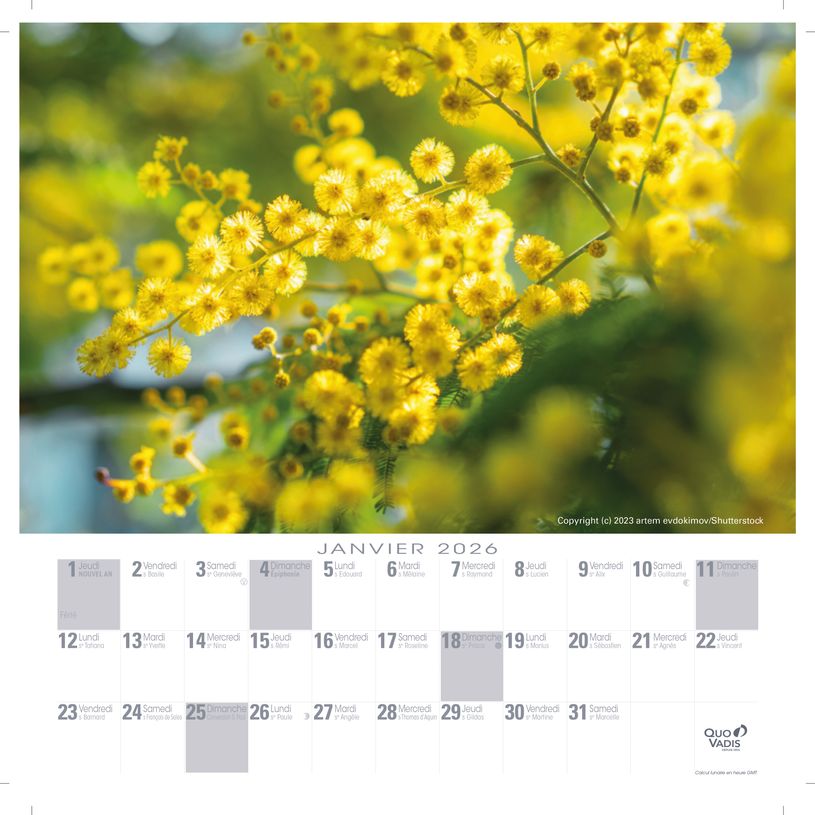 3371010517695-CALENDRIER FEUILLES FR - Fleurs - 30x30 cm - Quo Vadis--2