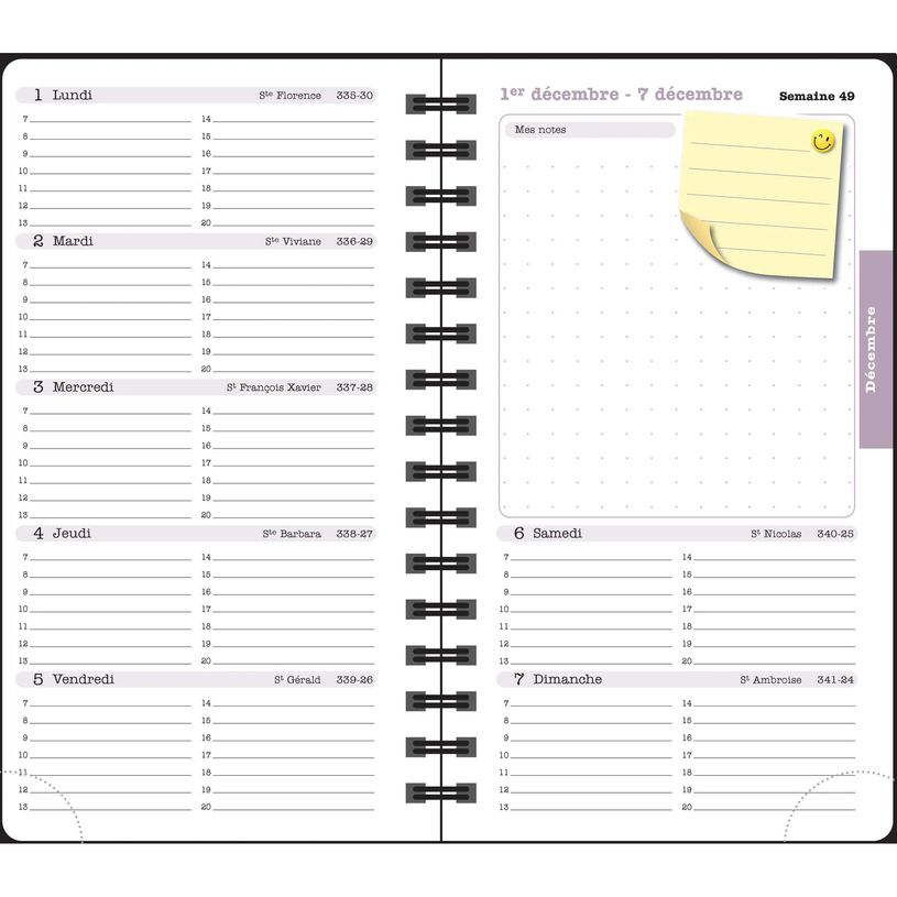 3660942089029-Agenda de poche Dodo & Cath Lady 16S spiralé - 1 semaine sur 2 pages - 9 x 16 cm - Poisson rouge - Exa--6