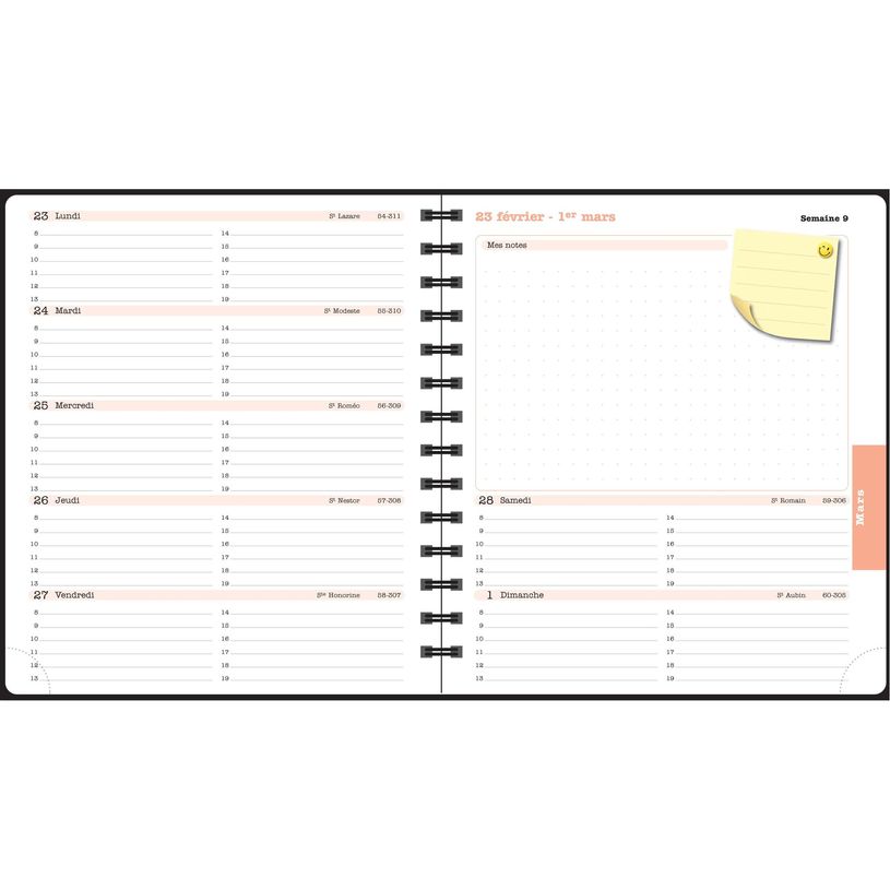 3660942088756-Agenda de bureau Sophie Adde Lady 18S spiralé - 1 semaine sur 2 pages - 15 x 17 cm - Oranges - Exacomp--7