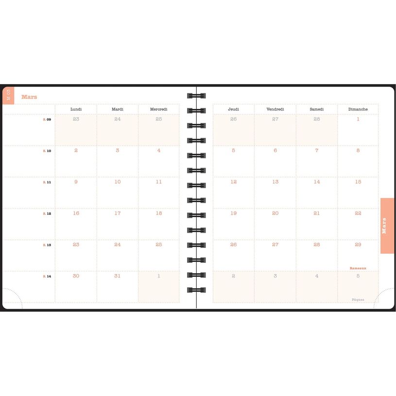 3660942088404-Agenda de bureau Sophie Adde Lady 18S spiralé - 1 semaine sur 2 pages - 15 x 17 cm - Fleurs - Exacompt--8