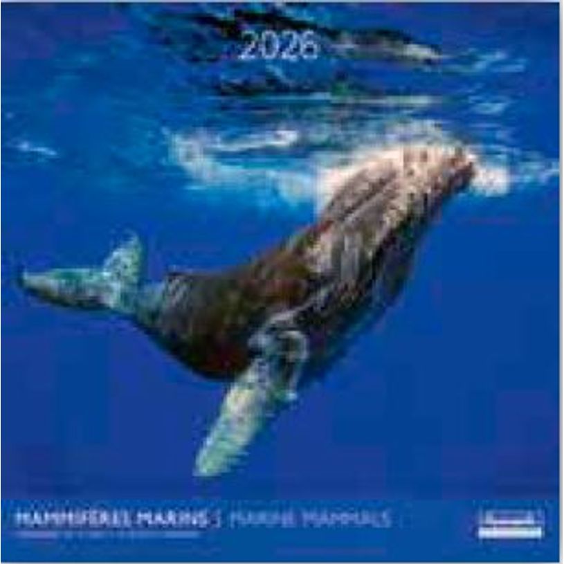 3494150174044-Calendriers 30x30cm 16 mois Aquarupella - Mammifères marins--0