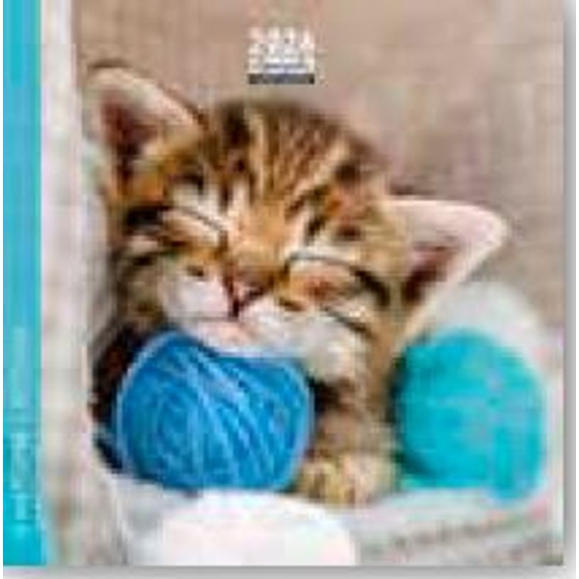 3494150174389-Calendrier 16x16cm 16 mois Aquarupella - Chatons--0