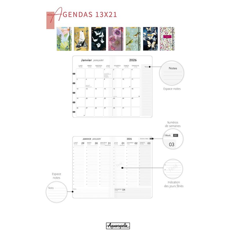 3494150175089-Agenda 13x21cm 12 mois Aquarupella - Grues --1