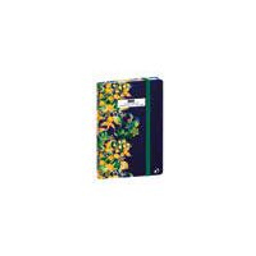 3371010526031-Quo Vadis Exécutif Catalin Estrada - Agenda semainier - 100 x 150 mm - couverture physali-P_405244012_1-0