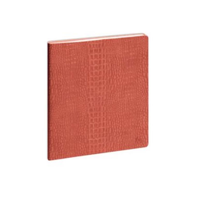 3660942088619-Exacompta Baby Croco Horizons 27 - Agenda - 185 x 225 mm - couleurs assorties-P_405244375_1-0