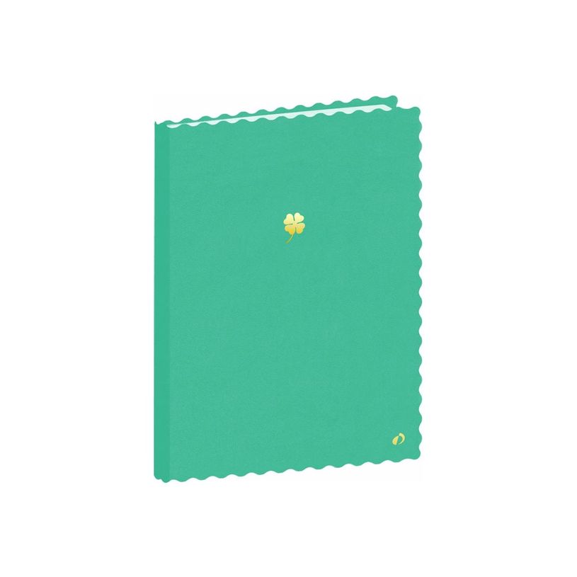3371010513611-Quo Vadis Fantasy - Carnet de notes - A5 - 48 feuilles / 96 pages - couverture verte-P_405247289_1-0