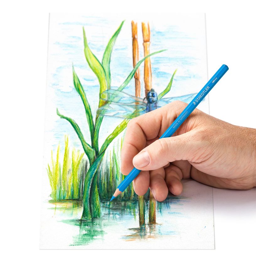 4007817139424-Staedtler Design Journey - 48 Crayons de couleur aquarellables-P_675915_6-5