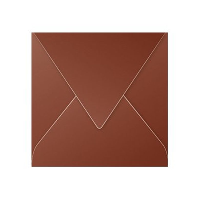 3329680052336-Pollen - 20 Enveloppes - 165 x 165 mm - 120 g/m² - chocolat-P_79146776_1-0
