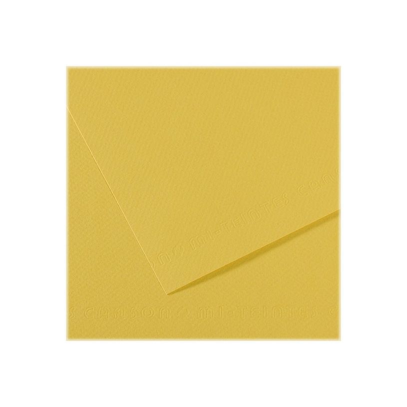 3148954234045-Canson Mi-Teintes - Papier à dessin - 50 x 65 cm - anis-P_79349277_1-0