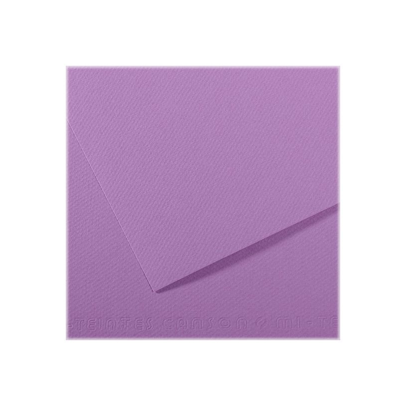 3148953217247-Canson Mi-Teintes - Papier à dessin - 50 x 65 cm - myrtille-P_79349279_1-0