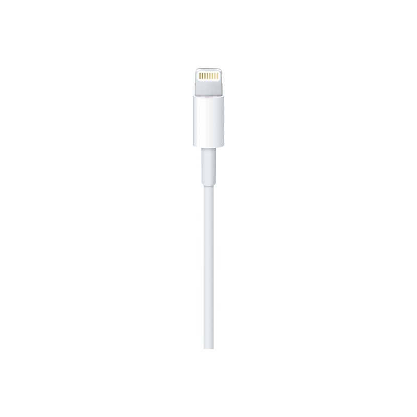 885909627424-Apple câble Lightning - Lightning / USB - 1 m-P_79373245_3-2