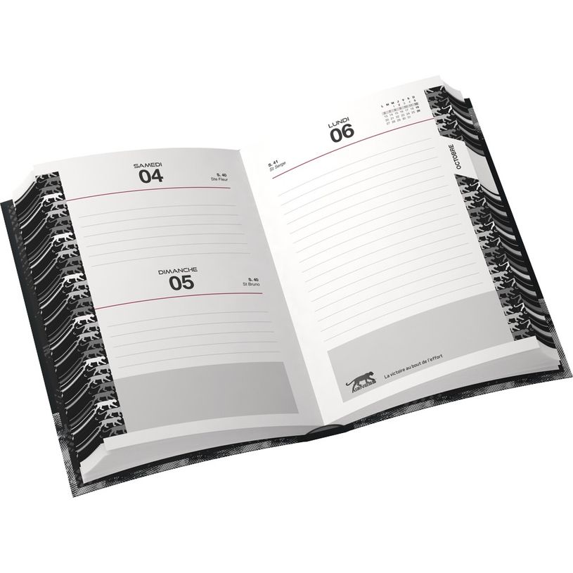 3020120004242-Cahier de textes Airness Alaric - 16 x 22 cm - Hamelin-P_79395273_2-1