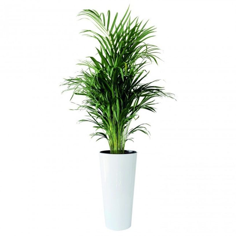 3700339878642-Plante artificielle ARECA - Hauteur 100 cm-P_79408017_1-0