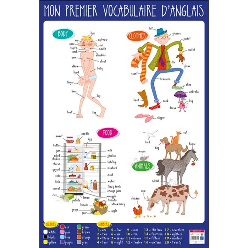 3592930007794-Bouchut - Poster pédagogique effaçable - 52 x 76 cm - Anglais-P_79409622_1-0