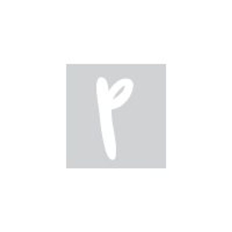8711234004055-Pickup Déco Zoé - Étiquette autocollante 110 mm - Lettre P - blanc-P_79413422_1-0