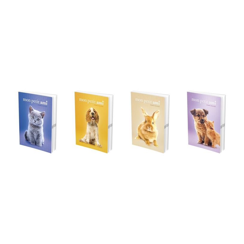 3147280073854-Agenda fantaise Mon petit ami - 17 x 22 cm -  1 jour par page  - différents modèles dispo-P_79416636_6-4
