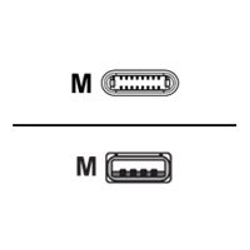 3571211269144-Bigben - câble de charge et de synchronisation USB/Connectique Lightning - 1m - blanc-P_79418572_2-2