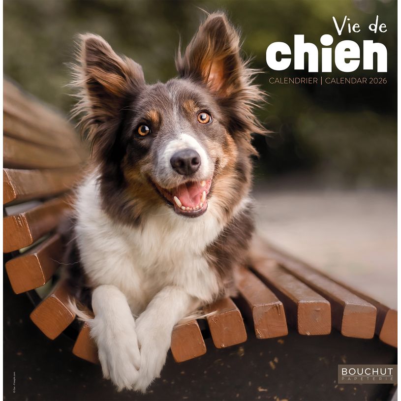 3592930027112-Calendrier illustré BOUCHUT 30 x 30 cm VIE DE CHIEN 70 %--0