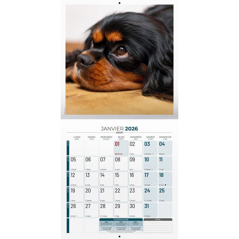 3592930027112-Calendrier illustré BOUCHUT 30 x 30 cm VIE DE CHIEN 70 %--1
