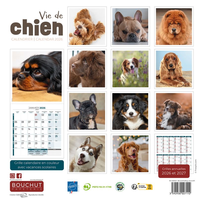 3592930027112-Calendrier illustré BOUCHUT 30 x 30 cm VIE DE CHIEN 70 %--2