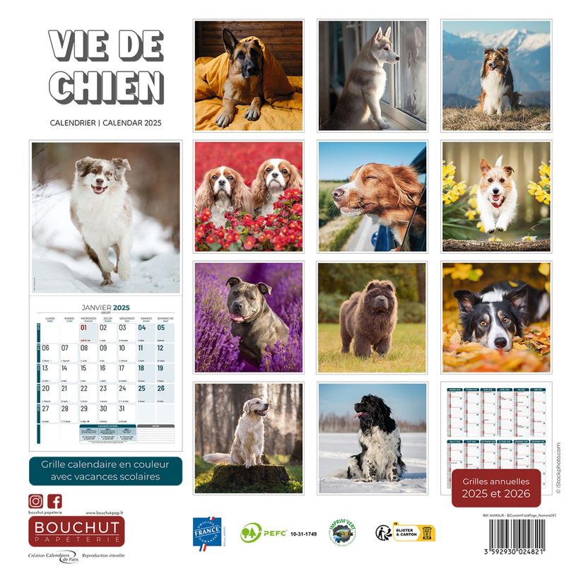 3592930027112-Calendrier illustré BOUCHUT 30 x 30 cm VIE DE CHIEN 70 %-P_79420119_3-2