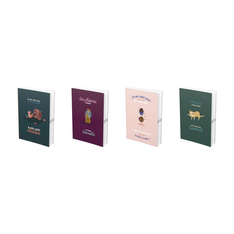 3147280102295-Agenda Icone - 1 jour par page - 12 x 17 cm - différents modèles disponibles - Hamelin-P_79426854_7-5