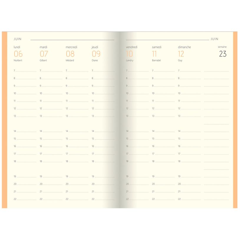 3664447104454-Agenda Colornote - 1 semaine sur 2 pages - 10 x 15 cm - disponible dans différentes couleu-P_79429125_5-4