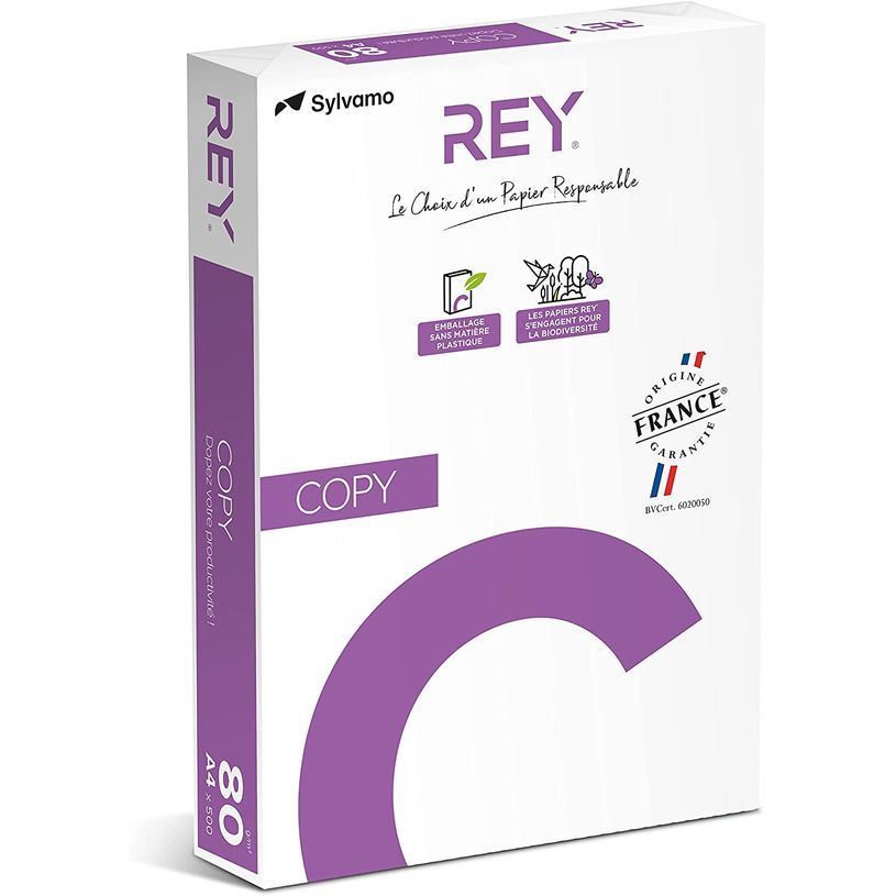 3141728704713-Rey Copy - Papier blanc - A4 (210 x 297 mm) - 80 g/m² - 2500 feuilles (carton de 5 ramette-P_79429757_2-1