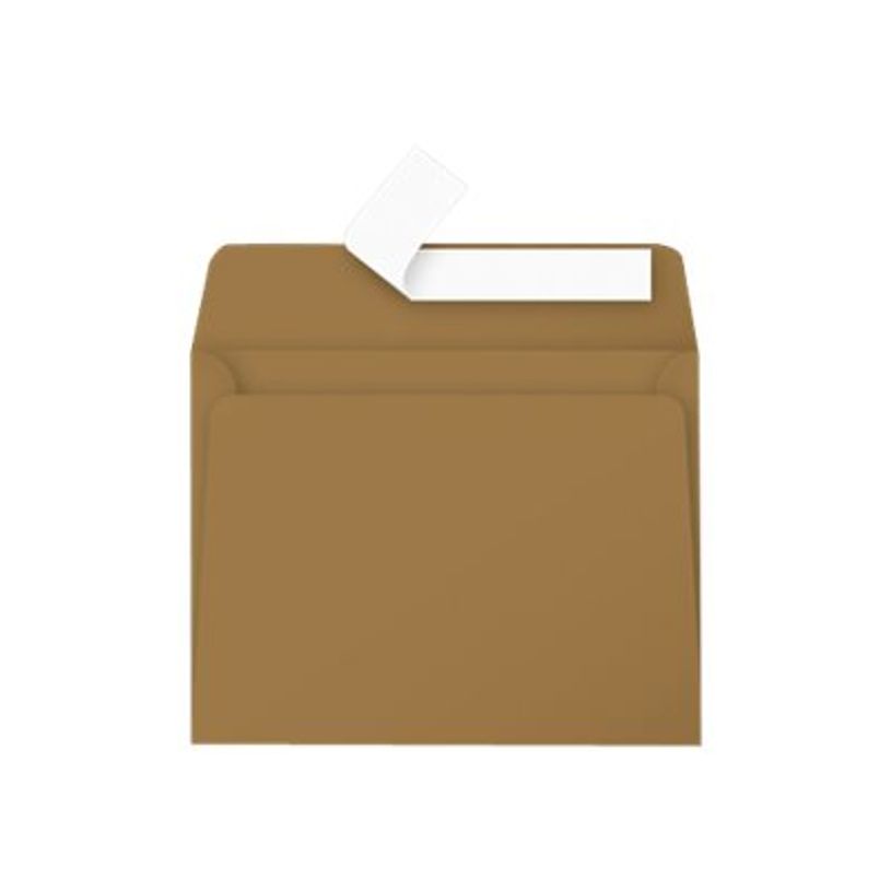 3329680290011-Pollen - 20 Enveloppes - 90 x 140 mm - 135 g/m² - kraft-P_79431447_2-1