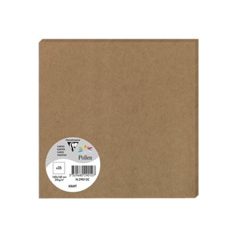 3329680290127-Pollen - 25 Cartes - 160 x 160 mm - 200g/m² - kraft-P_79431455_1-0